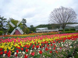 兵庫県立フラワーセンター