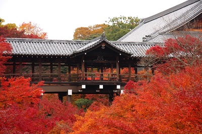 東福寺通天橋紅葉