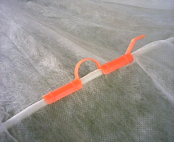 2009_0205_140348AA.jpg