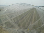 image/2012-04-10T14:57:33-1.jpg
