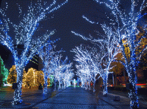 京セライルミネーション