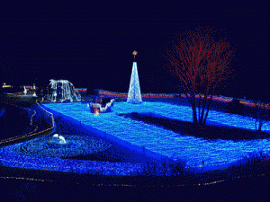 京都イルミエール